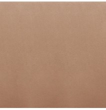 Pack 2 Sillas de Comedor, Sillas para Salón, Acabado en Tejido Beige, Medidas: 44 cm (Ancho) x 61 cm (Largo) x 95 cm (Alto)